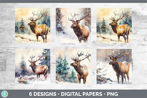 Winter Elk Wallpapers Top Free Winter Elk Backgrounds Wallpaperaccess