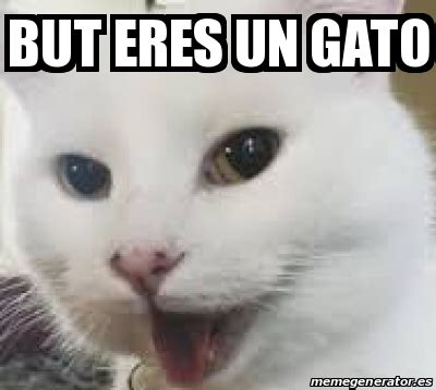 Meme Personalizado But Eres Un Gato