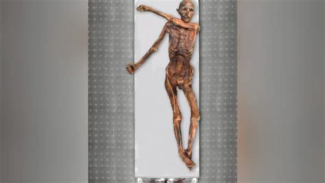 Estudio revela en qué se equivocó la ciencia sobre Ötzi el hombre de hielo