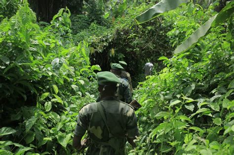 Beni Un Militaire Fardc Tu Par Des Maimai Bashu Arm E Kivu