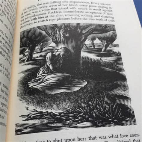 Tess Of The Durbervilles Thomas Hardy Illustrated Books