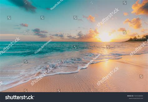 1,116,324 Sunny Day Beach Images, Stock Photos & Vectors | Shutterstock