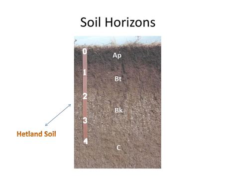 Horizon Layers Of Soil Soil Horizon Explanation With, 41% OFF