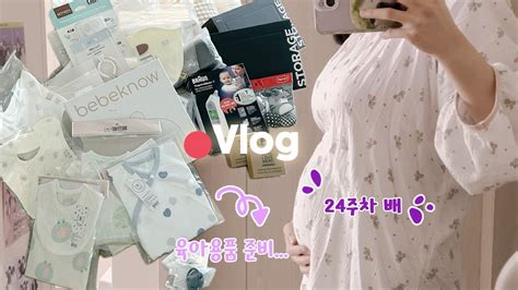 Vlog 24~25주차 임신 중기 임산부 끝없는 육아용품 준비시작 베이비하우스 당근마켓 곧 임당검사지만 먹을래