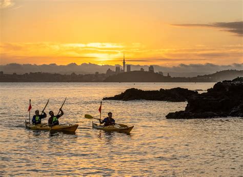 Auckland Sea Kayaks