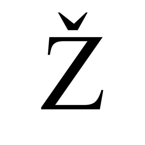 Ž | latin capital letter z with caron | Times New Roman, Regular ...
