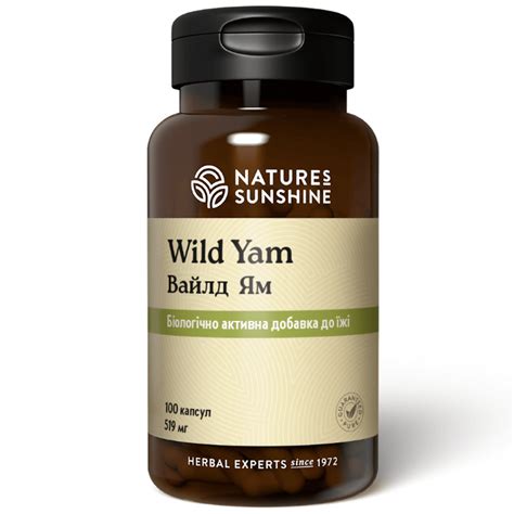 Купить Дикий Ямс НСП | Wild Yam NSP с доставкой в Nsp-company