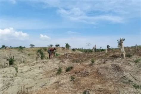 KPH Jawa Ungkap KHDPK Memulihkan Hutan Jawa Harian Haluan