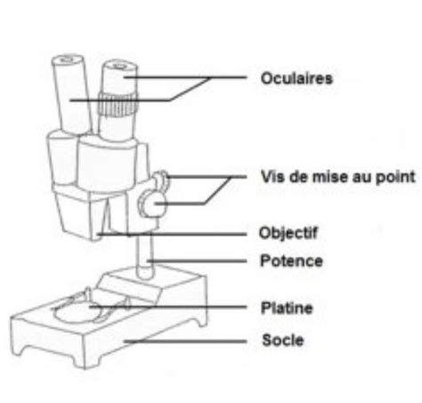 Bonjour J Ai Besoin D Aide Pour Savoir Les Diff Rents Elements D Une