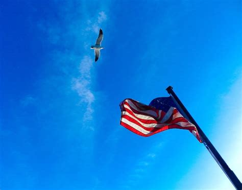 Premium Photo Low Angle View Of Flag Against Blue Sky