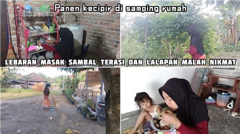 Kegiatan Irt Sehari Hari Di Rumah Sederhana Masak Dan Beberes Youtube