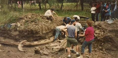 Se cumplen 30 años del insólito hallazgo de los restos de una ballena