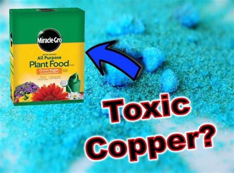 Is Copper Sulfate In Miracle Gro Fertilizer Toxic