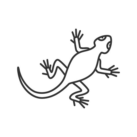 Lizard Linear Icon Thin Line Illustration Salamander Contour Symbol Vector Isolated Outline