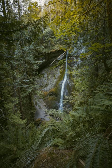 Three Waterfalls In Olympic National Park