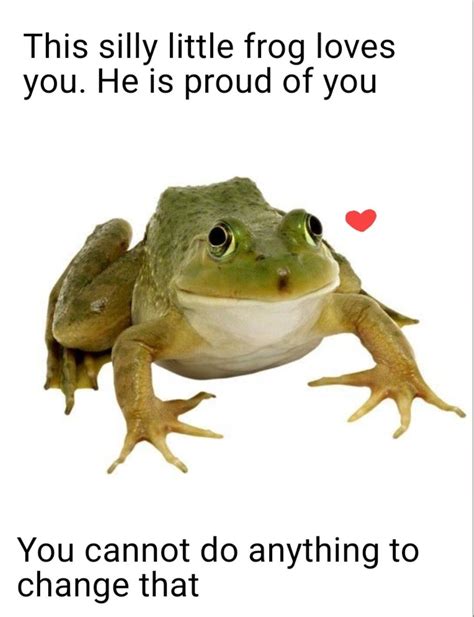 14 Uplifting Frog Memes For A Happiness Boost Artofit