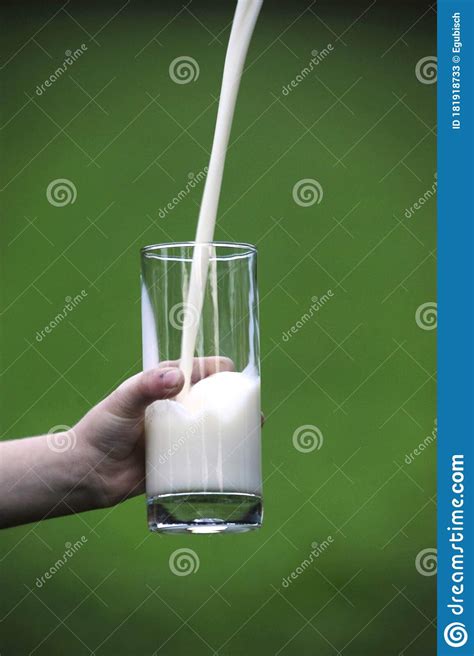 Pouring Milk In Glass With Green Background Stock Image Image Of Glass Protein 181918733