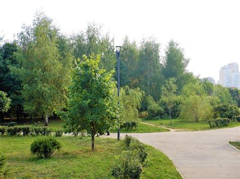 THE 10 BEST Moscow Parks (2024) - Tripadvisor