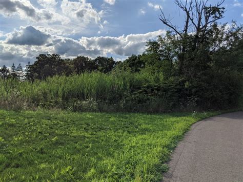 Fairlawn Park Glaciers Edge Capital Campaign Environmental Design Group
