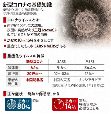 図解でわかる！新型コロナ 2020 写真特集154 毎日新聞