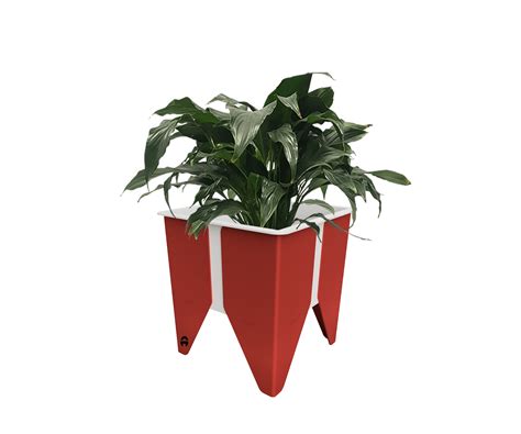 Desktop Star Planter Avantta Creations