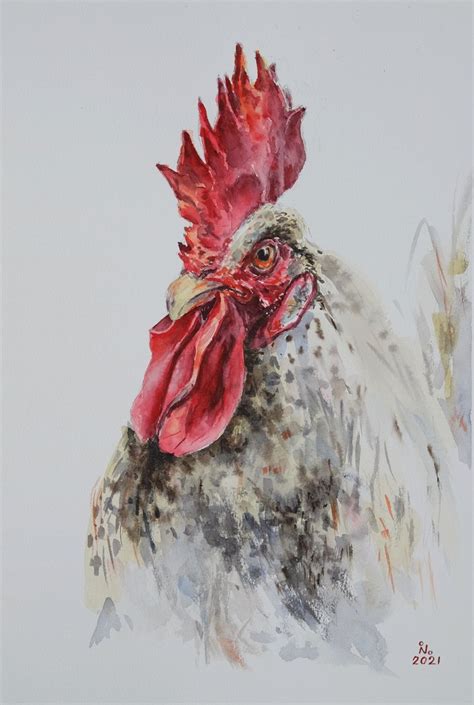 Macho Rooster Watercolour By Ilona Borodulina Artfinder