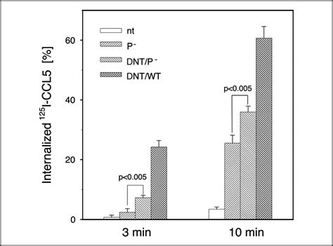 G Protein Coupled Receptor Kinases Promote Phosphorylation And β