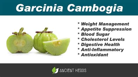 Garcinia Cambogia Benefits Uses Dosage And Side Effects