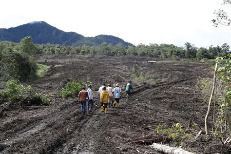 Utusan Menko Marves RI Tinjau Pembangunan Kawasan Food Estate Di Pakpak