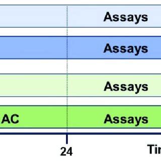 Neuroprotective Effects Of AC Towards H 2 O 2 Induced Injury In