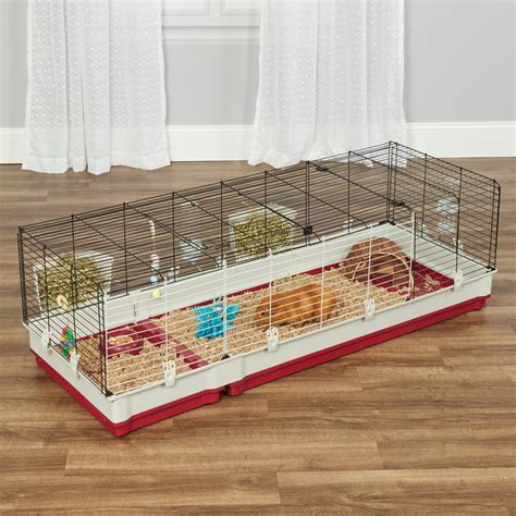 Large Guinea Pig Cages