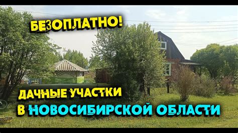 Бесплатные дачные участки в Новосибирской области - 73км от метро - YouTube