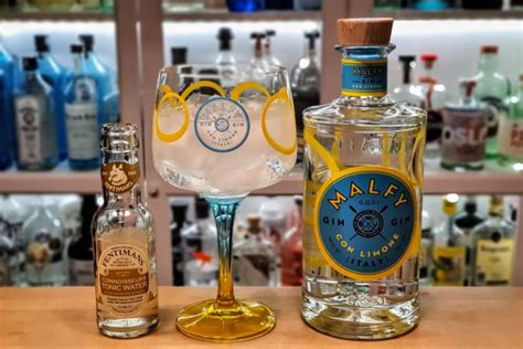 Hvilken Gin Passer Til Fentimans Connoisseurs Tonic Water Alt Om Gin