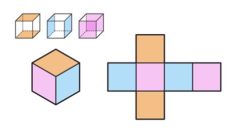 Surface Area Of Cubes And Cuboids Ks3 Maths Bbc Bitesize Bbc Bitesize