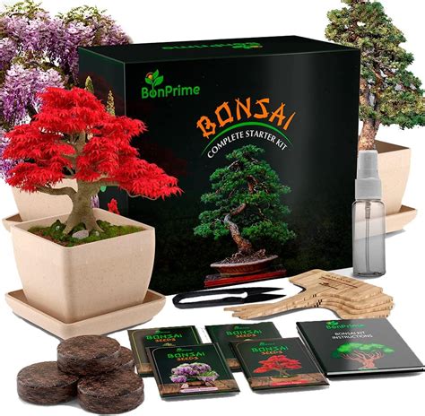 Bonprime Bonsai Tree Starter Kit Complete Gardening Kit