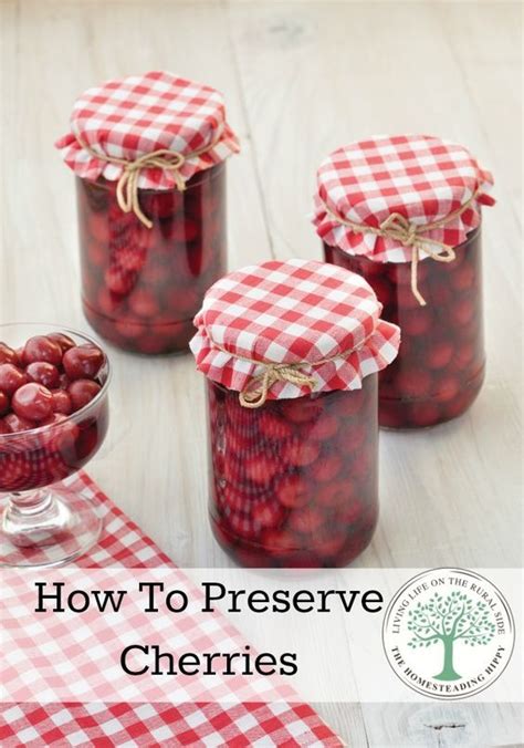 How To Preserve Cherries Canned Cherries Canning Recipes Food