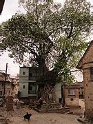 Category:Temples in Kirtipur - Wikimedia Commons