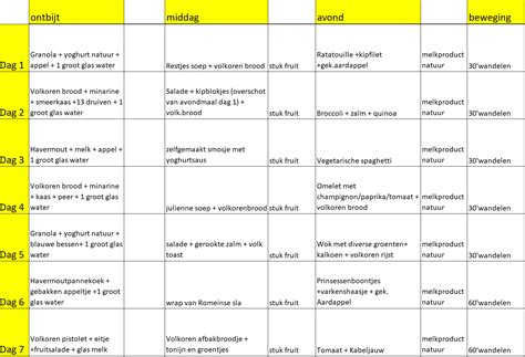 Voorbeeld Weekschema