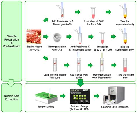 ExiPrep Beef Genomic DNA Kit from Bioneer