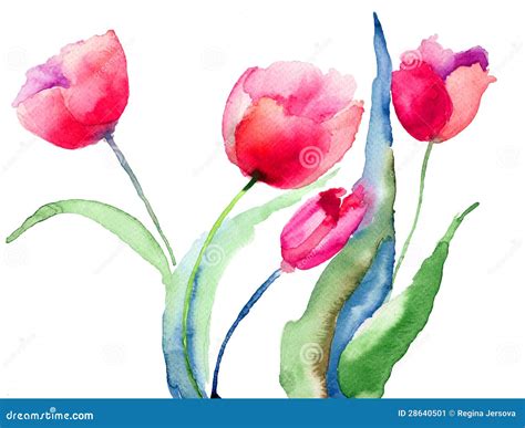 Beautiful Tulips Flowers Stock Illustration Illustration Of Vintage