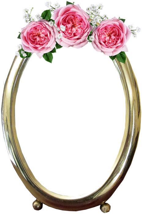 Rose Frame Png Images Subpng