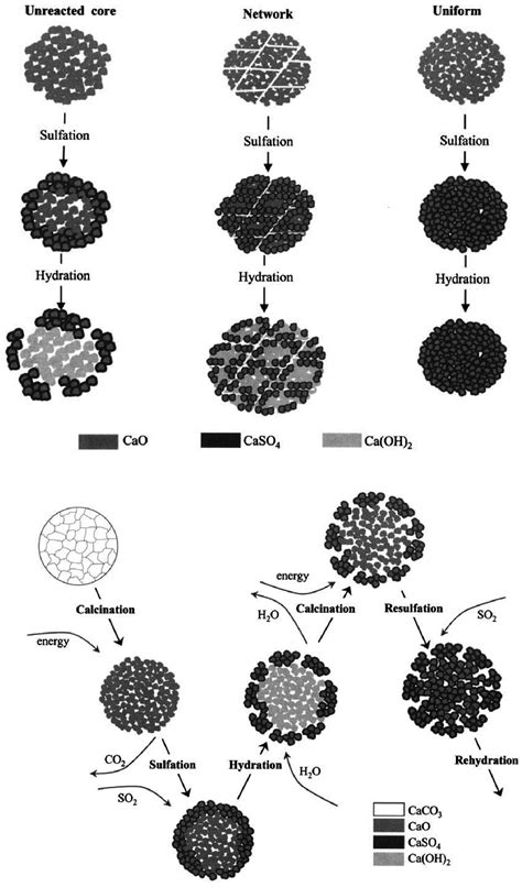 Schematic Sequence Of Reactions For Calcination Sulfation And Download Scientific Diagram