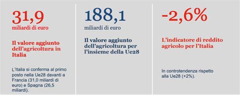 Agricoltura La Produzione Cala Per Il Clima Il Vino Foodcommunity