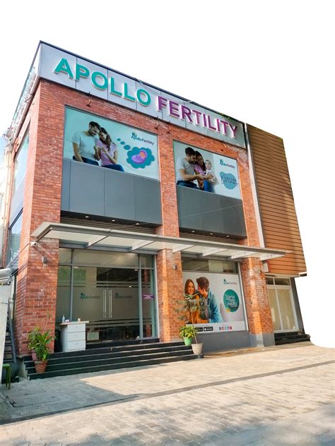 Best Ivf Centre In Anna Nagar Chennai Apollo Fertility