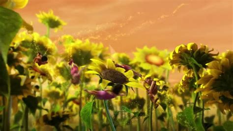 Disneynature Movies High Quality Wallpaper 800 X 450 Flower Wallpaper