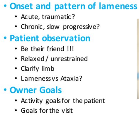 Exam 2 Ortho Exam Flashcards Quizlet