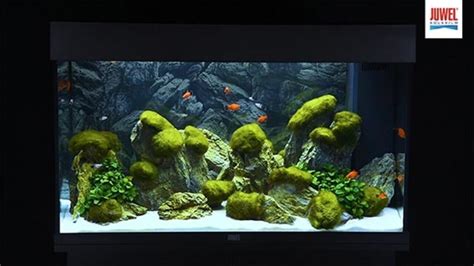 Rio Led Juwel Aquarium