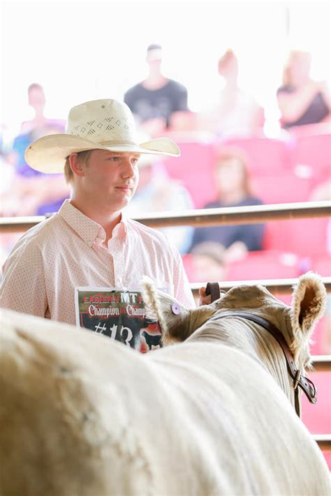 Eaton Charolais Ranch Added A New Eaton Charolais Ranch