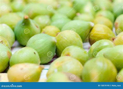 Fig harvesting stock image. Image of fruit, harvest, macro - 15819195