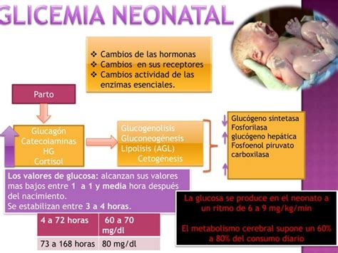 Trastornos Del Metabolismo De La Glucosa En El PPT